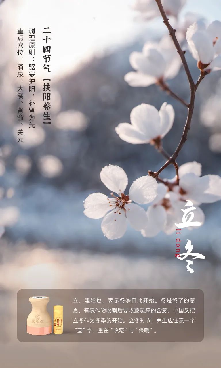 立冬节气 11月07日-08日相关示意图