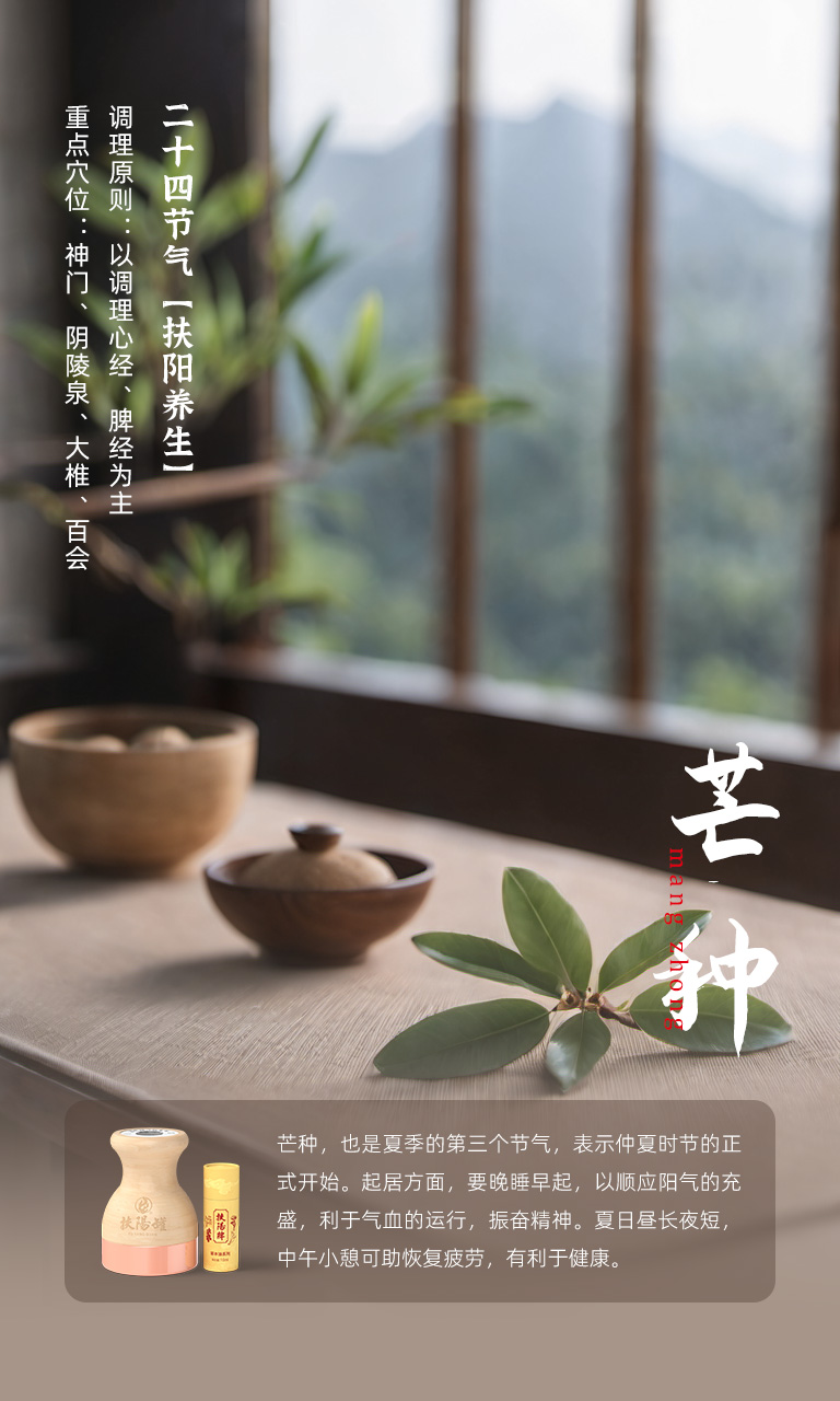 芒种节气 06月05日-06日相关示意图