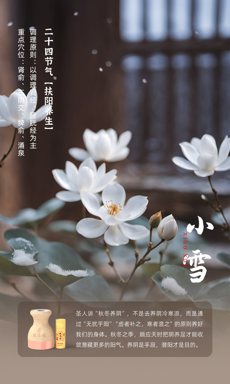 小雪节气 11月22日-23日相关示意图